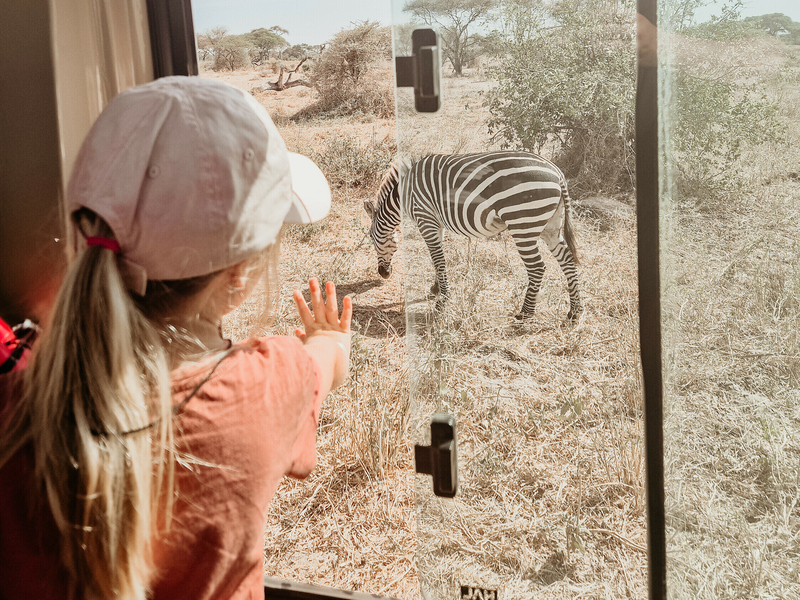 Safari med barn i Tanzania – eventyret hele familien vil huske